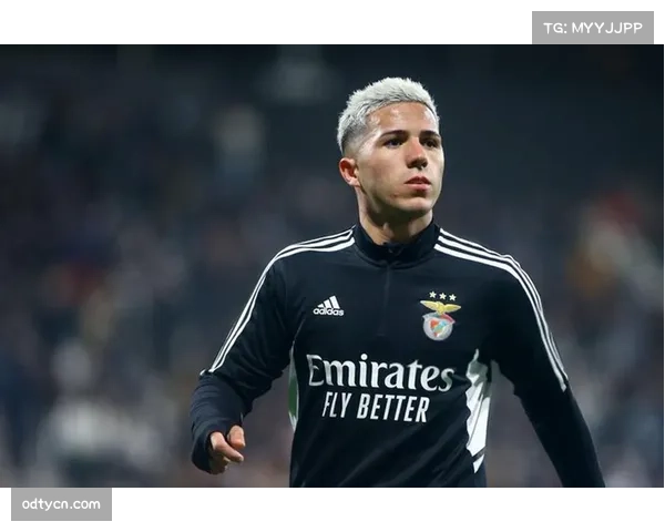 恩佐费尔南德斯成长 阿根廷中场新核心